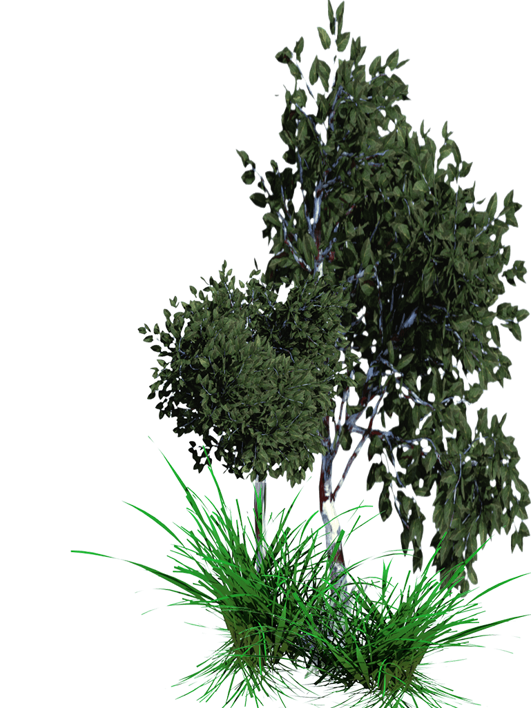 Arboles con Naturaleza en Acapulco