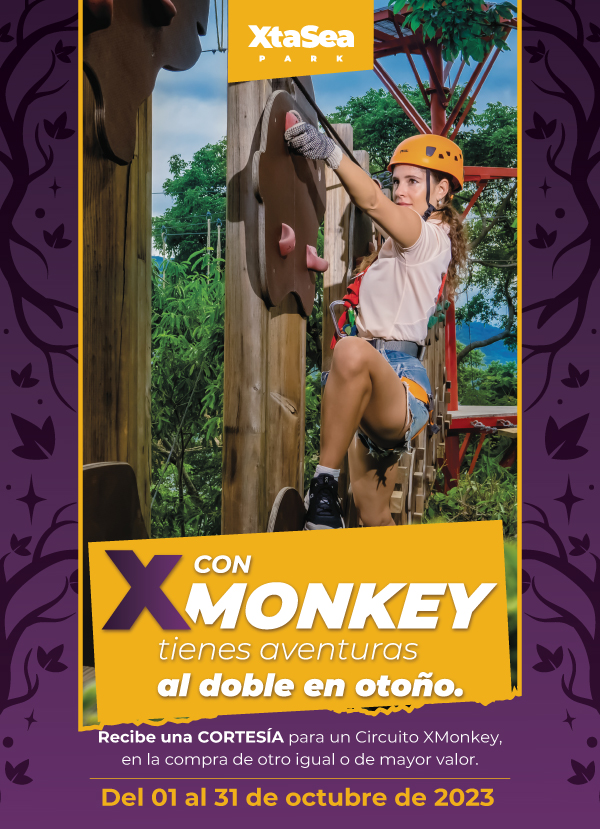 Xmonkey Aventuras